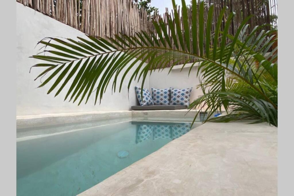 הוילה פוארטו אסקונדידו Casa Coconut מראה חיצוני תמונה